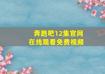 奔跑吧12集官网在线观看免费视频