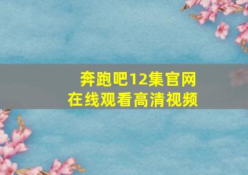 奔跑吧12集官网在线观看高清视频