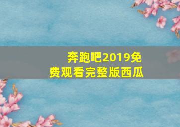 奔跑吧2019免费观看完整版西瓜