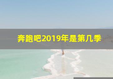 奔跑吧2019年是第几季