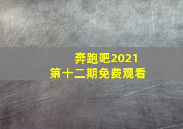 奔跑吧2021第十二期免费观看