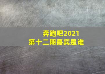 奔跑吧2021第十二期嘉宾是谁