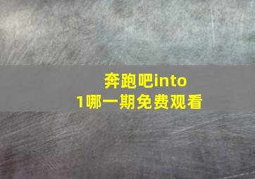 奔跑吧into1哪一期免费观看