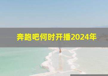 奔跑吧何时开播2024年