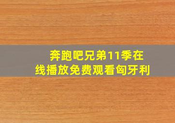 奔跑吧兄弟11季在线播放免费观看匈牙利