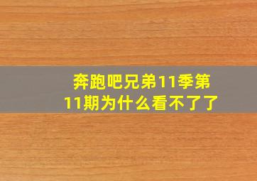 奔跑吧兄弟11季第11期为什么看不了了