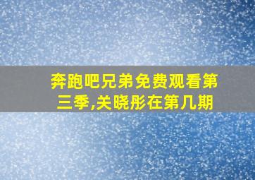 奔跑吧兄弟免费观看第三季,关晓彤在第几期