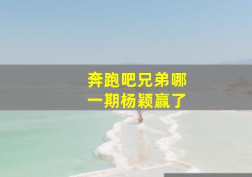 奔跑吧兄弟哪一期杨颖赢了