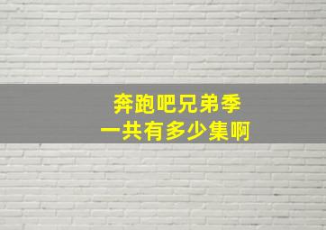 奔跑吧兄弟季一共有多少集啊