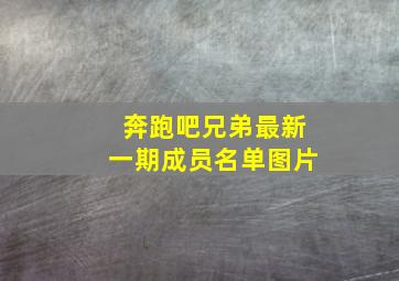 奔跑吧兄弟最新一期成员名单图片