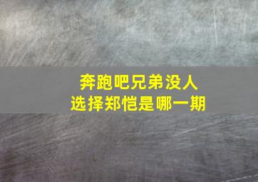 奔跑吧兄弟没人选择郑恺是哪一期