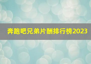 奔跑吧兄弟片酬排行榜2023