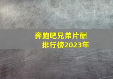 奔跑吧兄弟片酬排行榜2023年