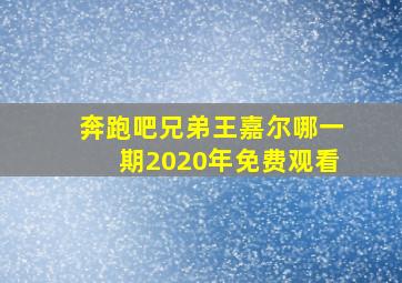 奔跑吧兄弟王嘉尔哪一期2020年免费观看