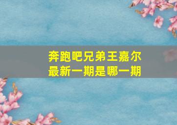 奔跑吧兄弟王嘉尔最新一期是哪一期