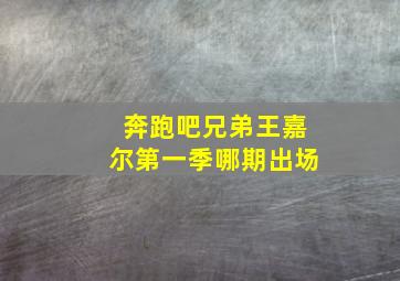 奔跑吧兄弟王嘉尔第一季哪期出场