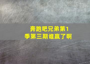 奔跑吧兄弟第1季第三期谁赢了啊