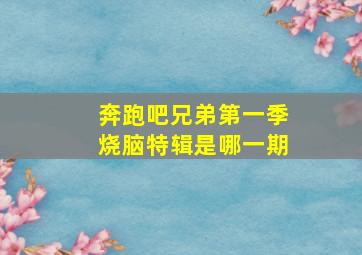 奔跑吧兄弟第一季烧脑特辑是哪一期