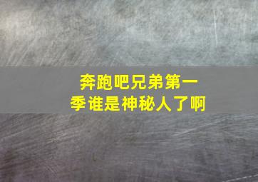 奔跑吧兄弟第一季谁是神秘人了啊