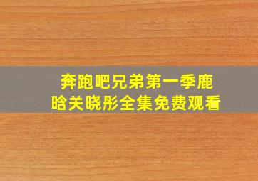 奔跑吧兄弟第一季鹿晗关晓彤全集免费观看