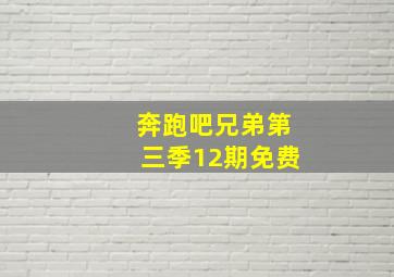 奔跑吧兄弟第三季12期免费