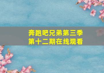 奔跑吧兄弟第三季第十二期在线观看