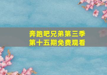 奔跑吧兄弟第三季第十五期免费观看