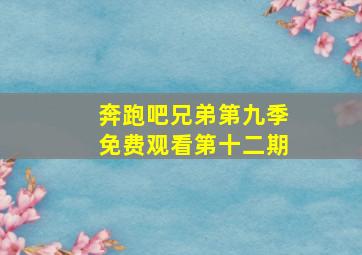 奔跑吧兄弟第九季免费观看第十二期