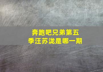 奔跑吧兄弟第五季汪苏泷是哪一期