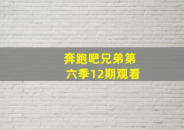 奔跑吧兄弟第六季12期观看