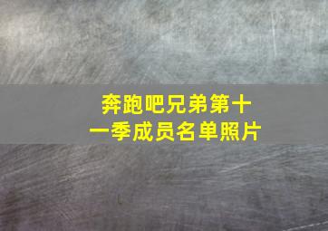 奔跑吧兄弟第十一季成员名单照片