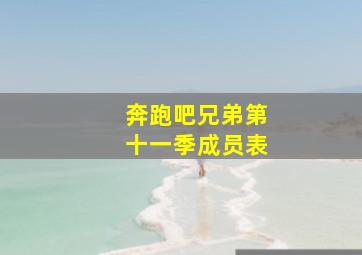 奔跑吧兄弟第十一季成员表