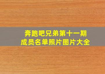 奔跑吧兄弟第十一期成员名单照片图片大全