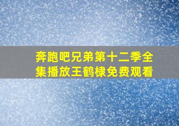 奔跑吧兄弟第十二季全集播放王鹤棣免费观看