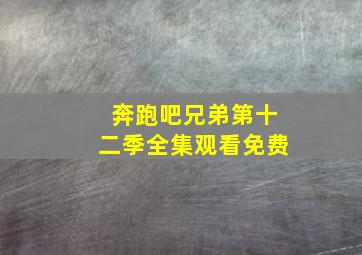 奔跑吧兄弟第十二季全集观看免费