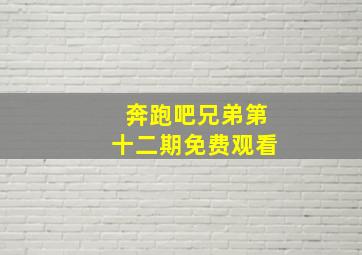 奔跑吧兄弟第十二期免费观看