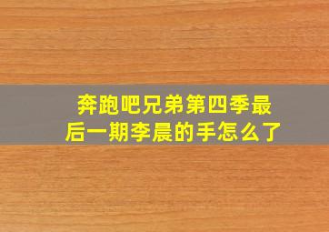 奔跑吧兄弟第四季最后一期李晨的手怎么了