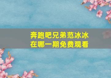 奔跑吧兄弟范冰冰在哪一期免费观看