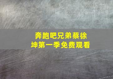 奔跑吧兄弟蔡徐坤第一季免费观看