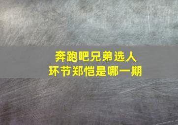 奔跑吧兄弟选人环节郑恺是哪一期