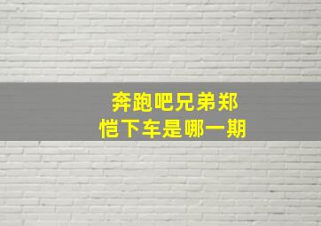 奔跑吧兄弟郑恺下车是哪一期