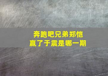 奔跑吧兄弟郑恺赢了于震是哪一期