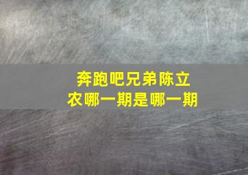 奔跑吧兄弟陈立农哪一期是哪一期