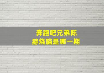 奔跑吧兄弟陈赫烧脑是哪一期