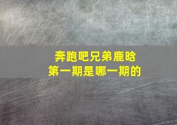 奔跑吧兄弟鹿晗第一期是哪一期的