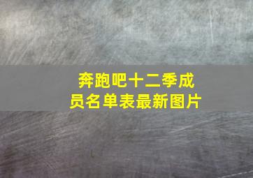 奔跑吧十二季成员名单表最新图片