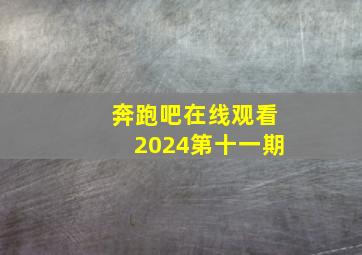 奔跑吧在线观看2024第十一期