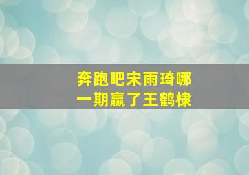 奔跑吧宋雨琦哪一期赢了王鹤棣