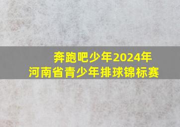 奔跑吧少年2024年河南省青少年排球锦标赛