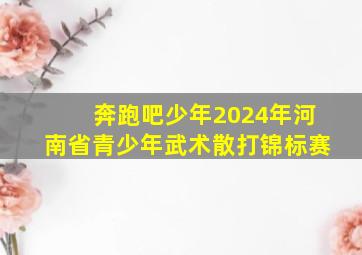 奔跑吧少年2024年河南省青少年武术散打锦标赛